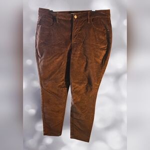Old Navy Women's Rich Brown Velour Pants Size 12 Petite